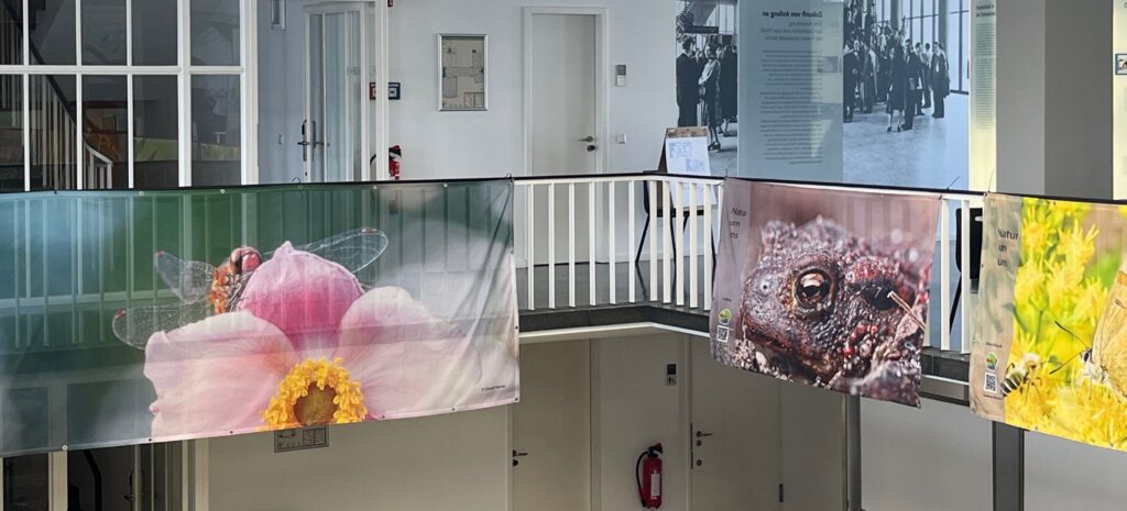 Banners with images of plant ans animals hanged on the rail of the second floor of a building